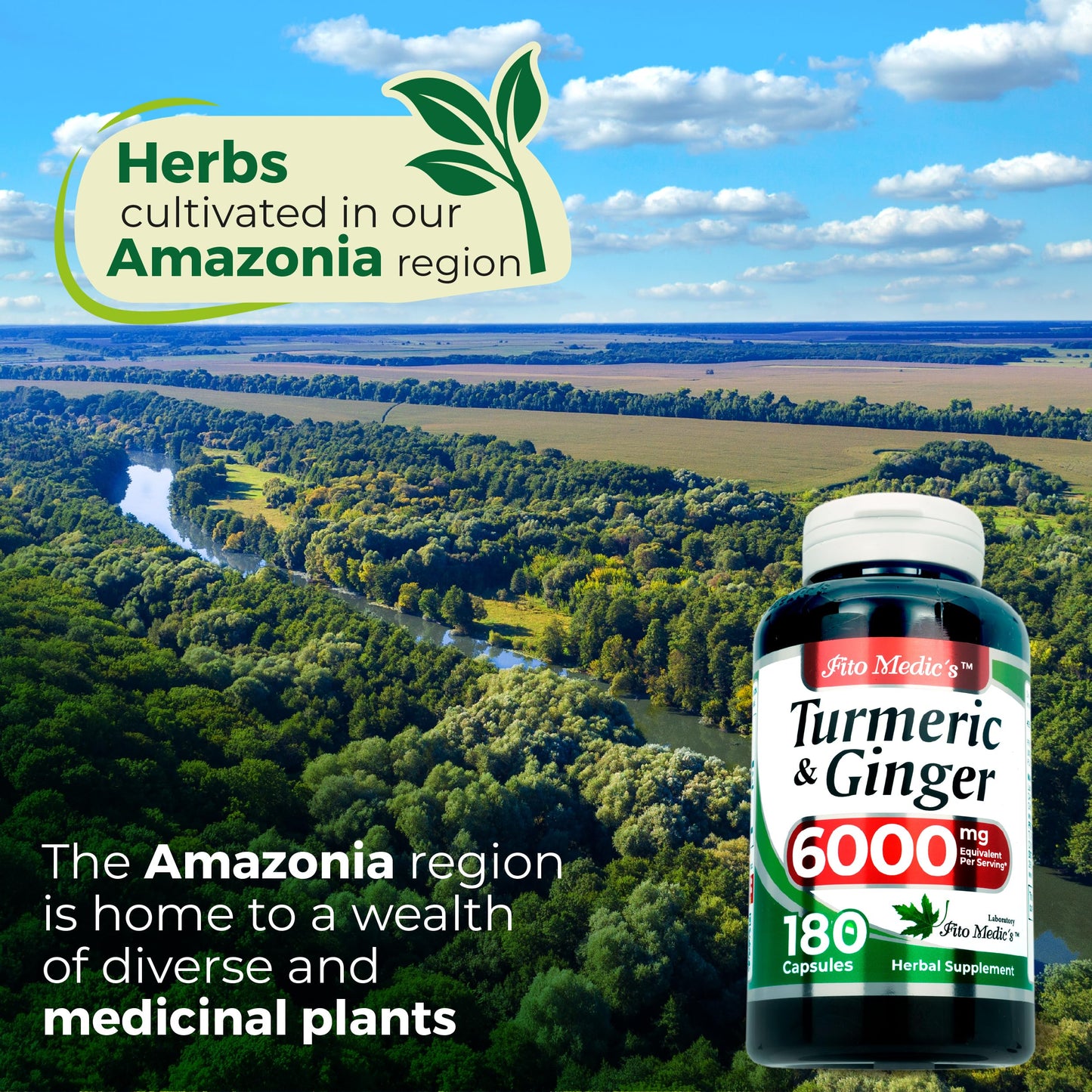 FITO MEDIC'S Turmeric and Ginger Supplement Capsule, 180 Capsules