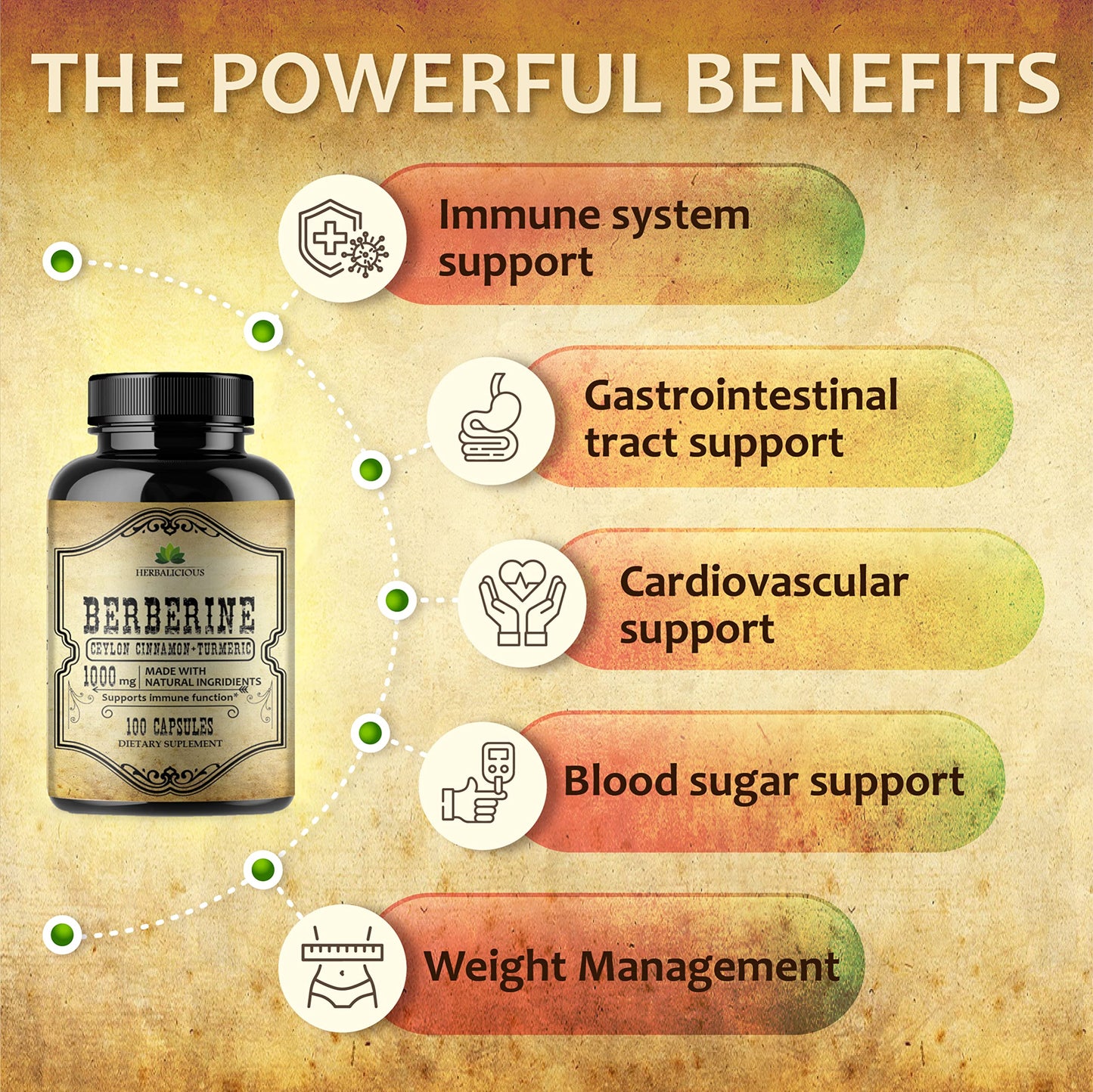 HERBALICIOUS Berberine Capsules with Ceylon Cinnamon & Turmeric, Non-GMO, 500 mg per Capsule, HCL Dietary Supplement for Men and Women, 100 Capsules