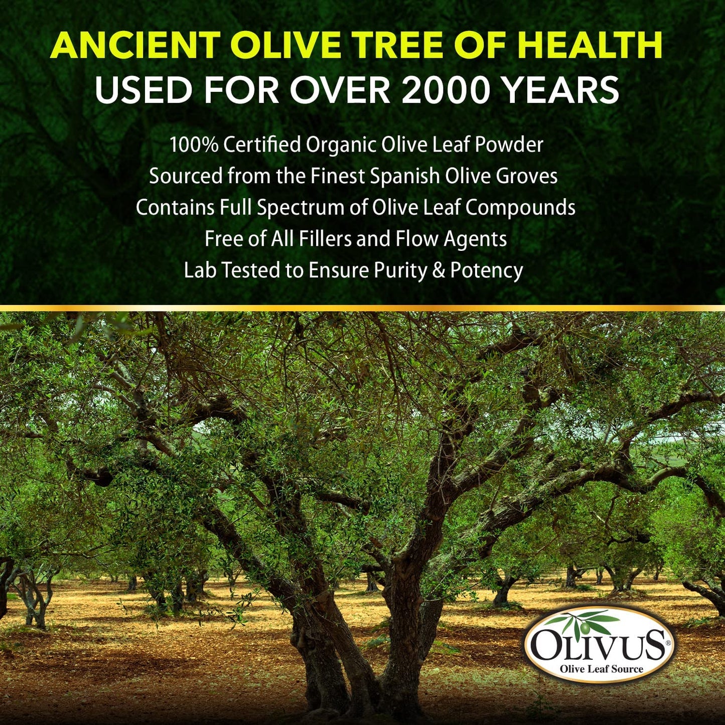 Olivus Olive Leaf Extract Capsules, 300 Count