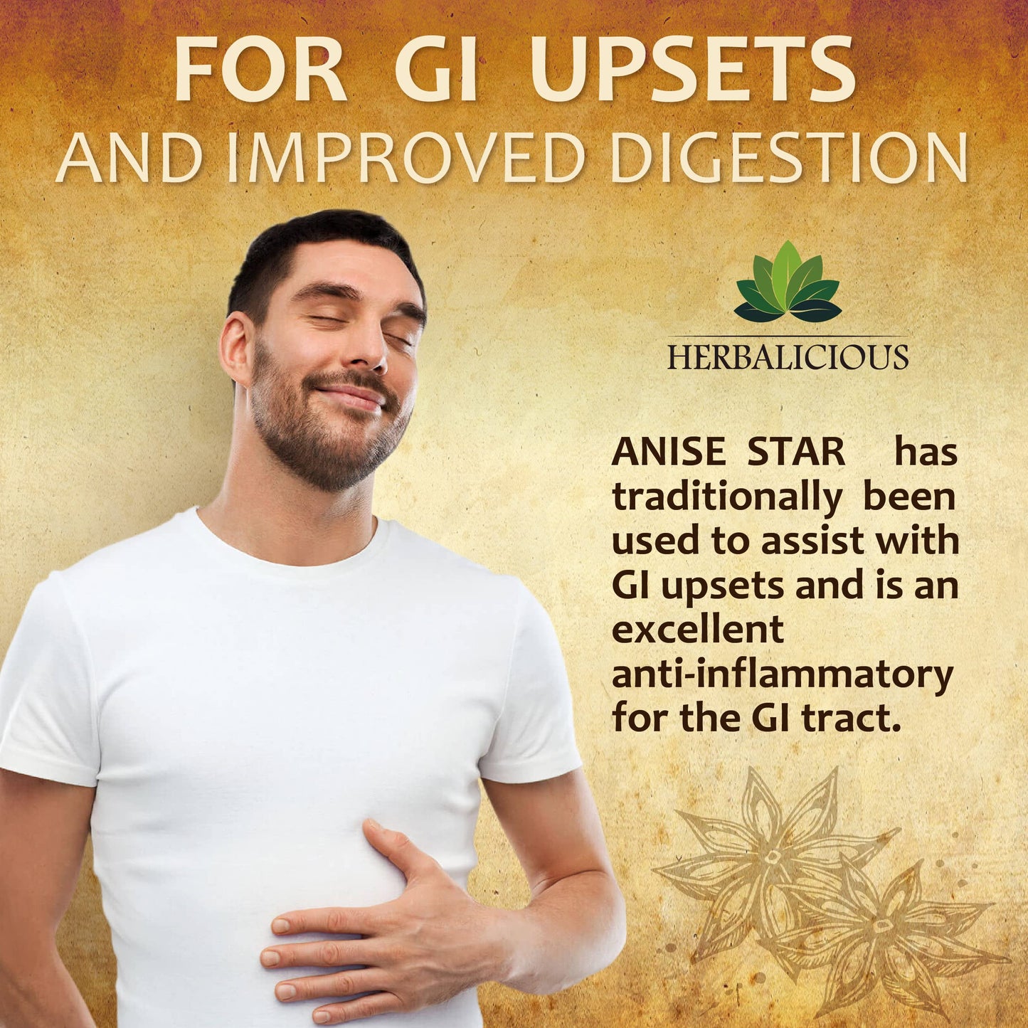 HERBALICIOUS Star Anise Supplement Organic Illicium verum 1000mg Capsule, 100 Count