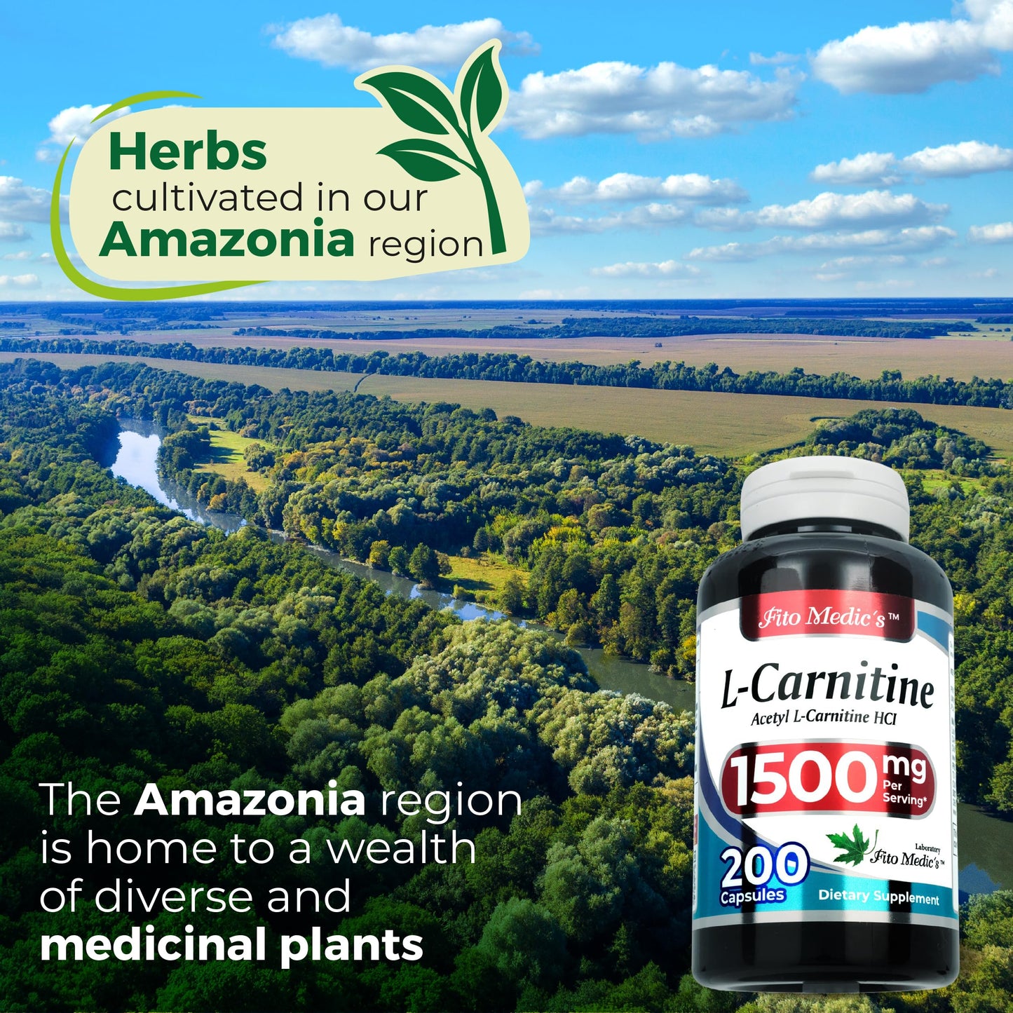 FITO MEDIC'S Lab L-Carnitine Supplement Acetyl L-Carnitine Formula Capsule, 200 Capsules