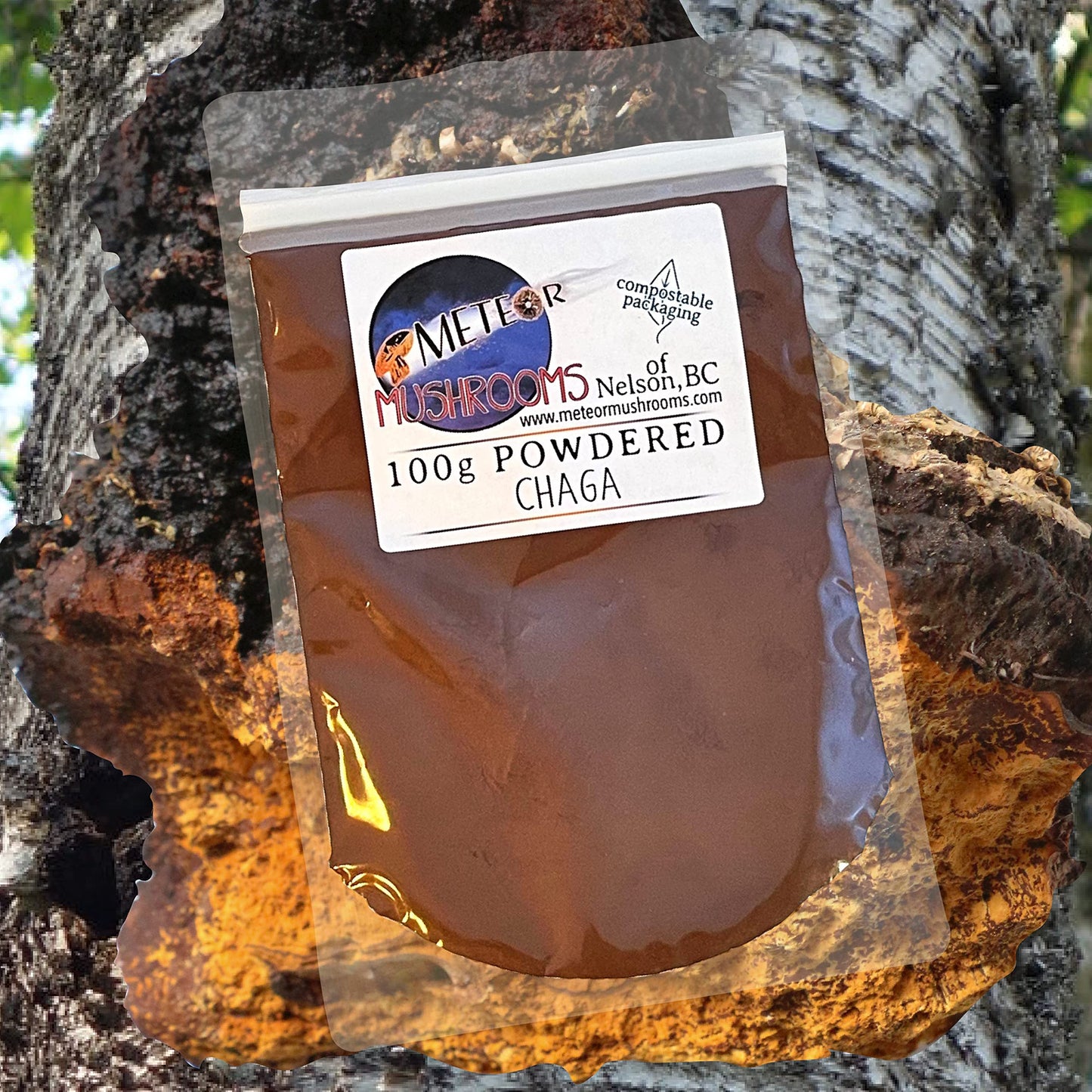Meteor Mushrooms Chaga Mushroom Powder, 3.53 Ounce