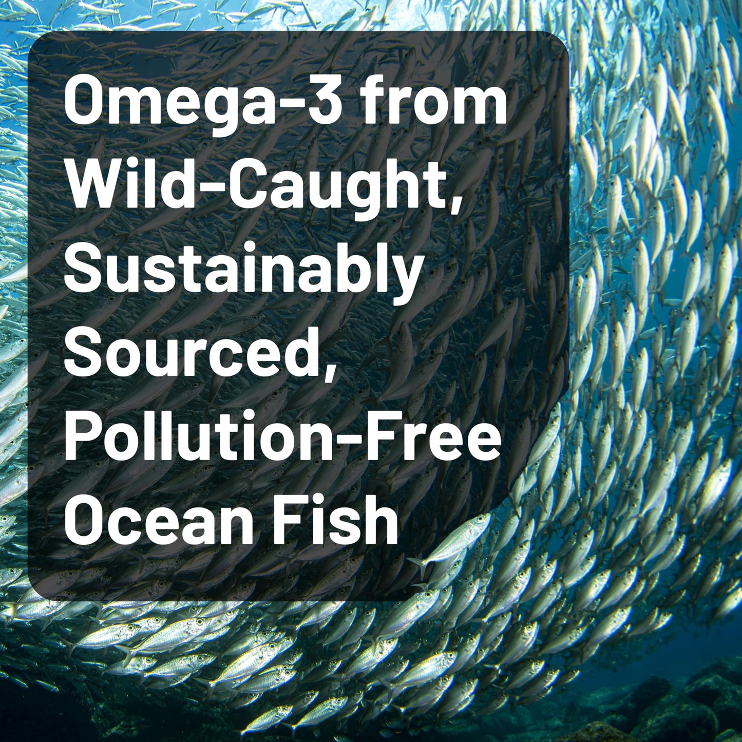 NatureWise Quadruple Strength Omega-3 Fish Oil Softgel 120 Softgels
