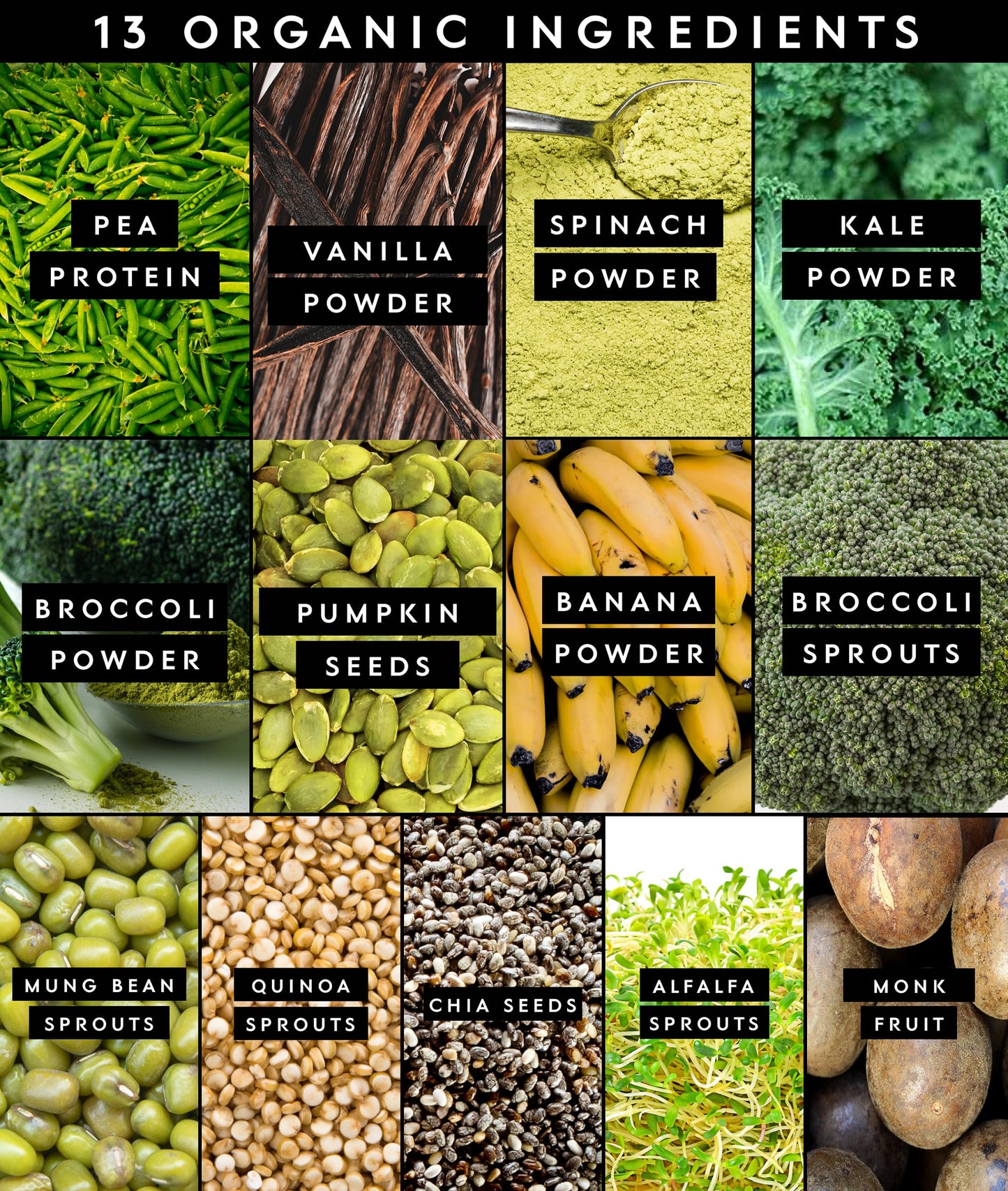 Truvani Protein + Greens Powder, 20 Servings