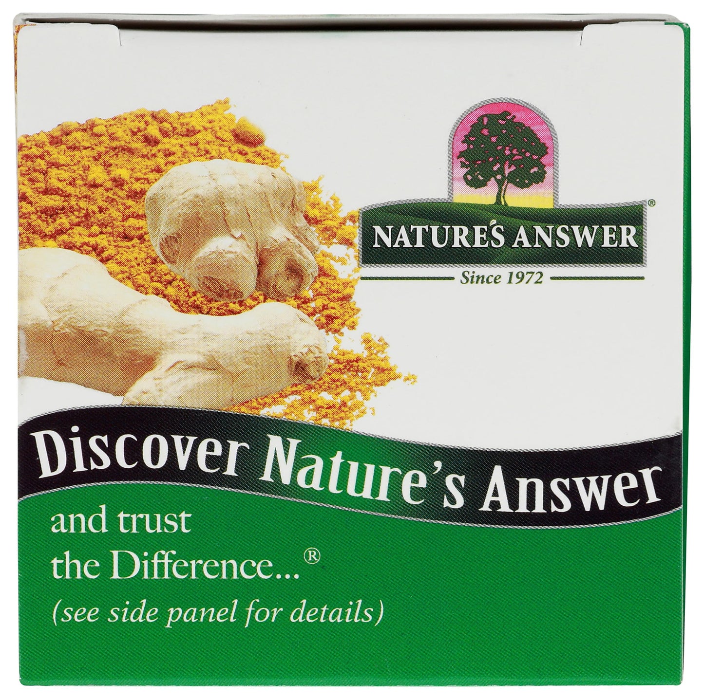 Nature's Answer Turmeric and Ginger Capsules 90 Count