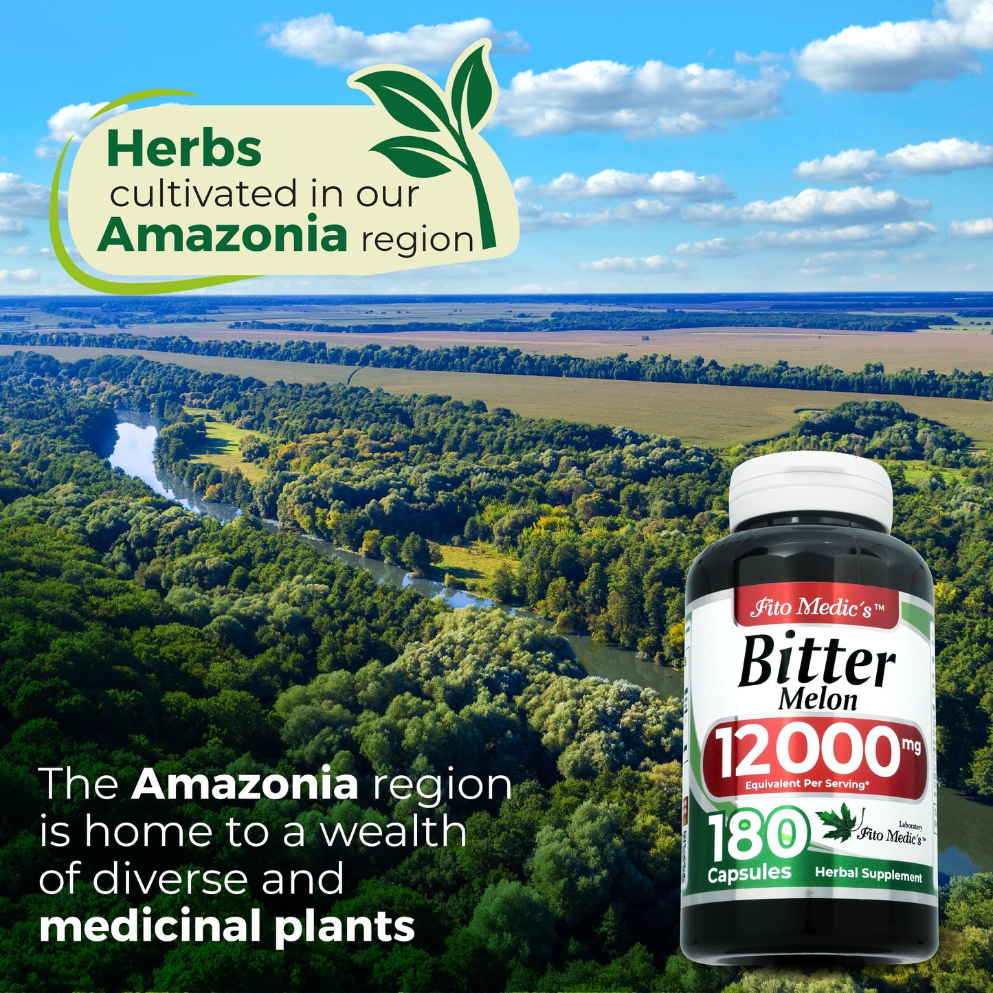 FITO MEDIC'S Bitter Melon Capsules 1 Count