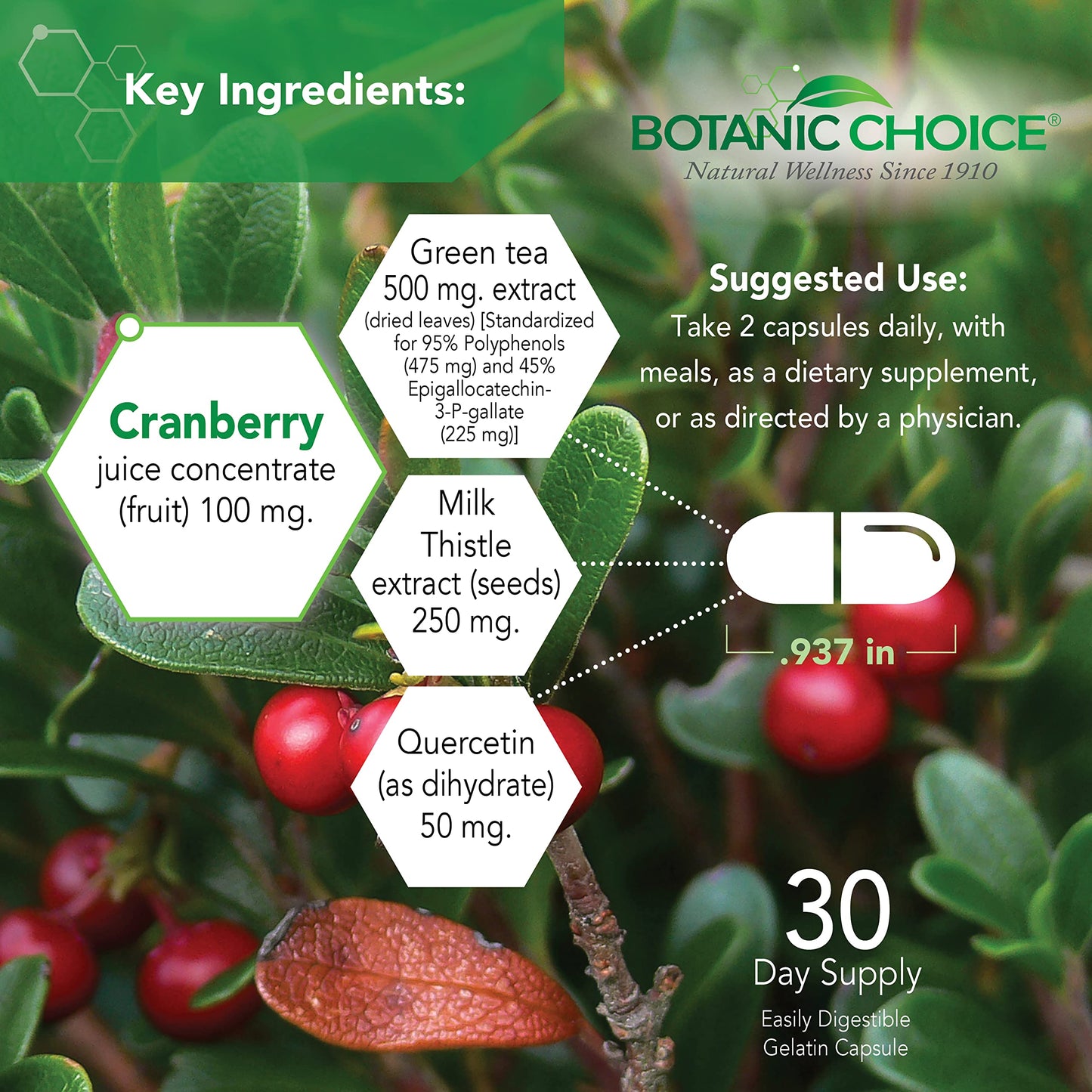 Botanic Choice Ultra Kidney Complex Capsules 60 Count
