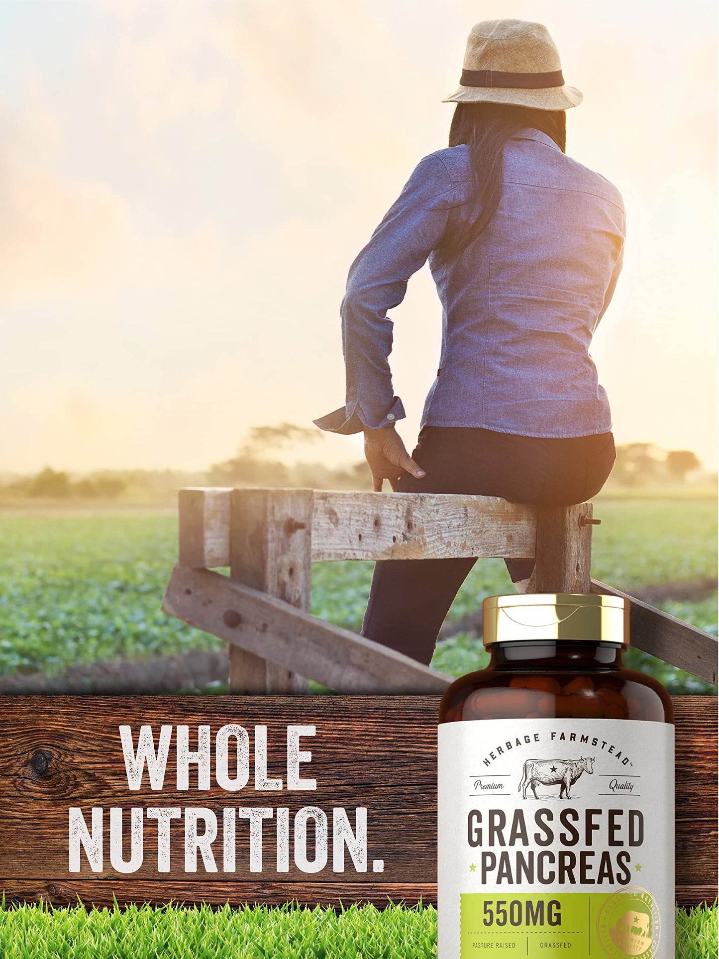 Carlyle Grass Fed Beef Pancreas 550mg Capsules, 200 Count