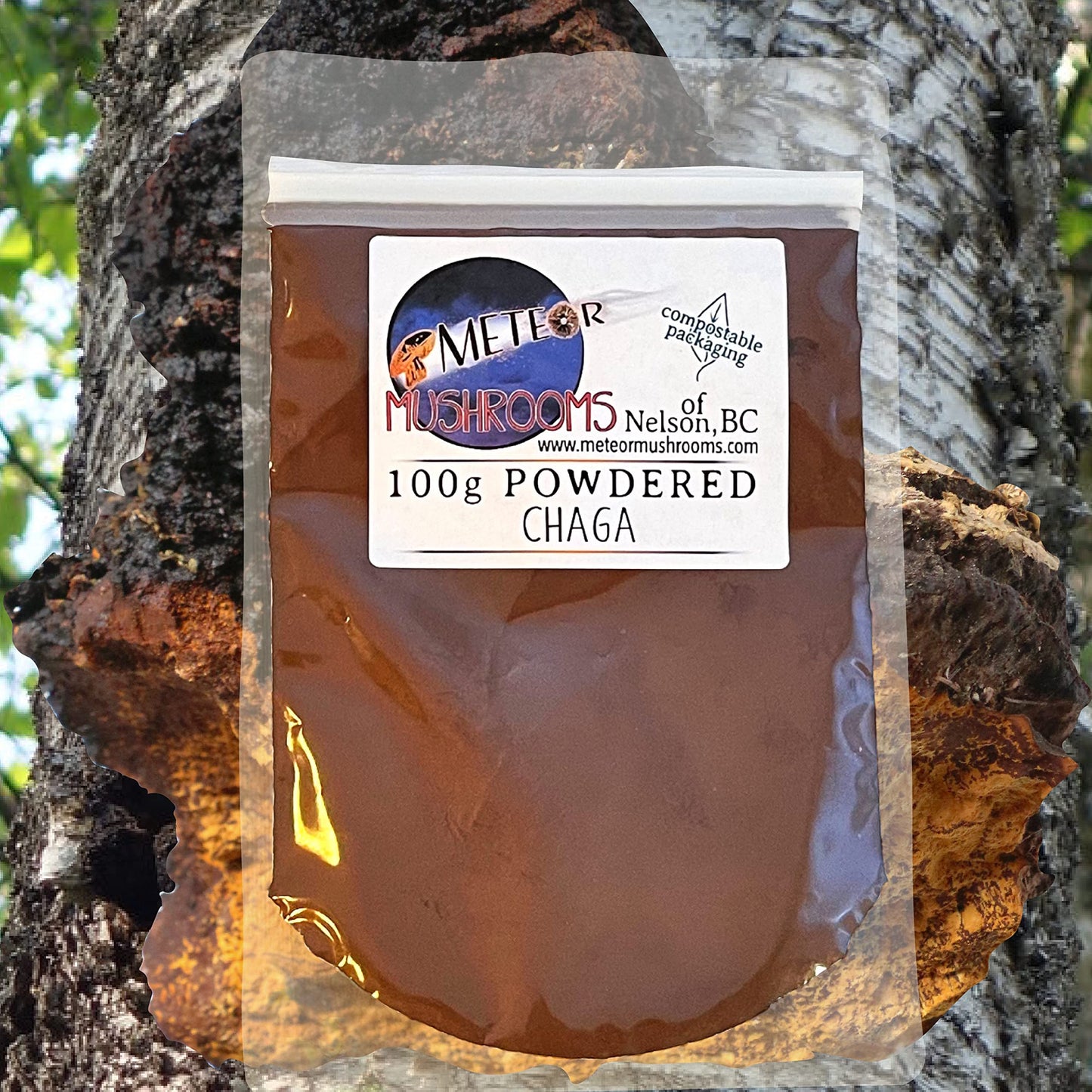 Meteor Mushrooms Chaga Mushroom Powder, 3.53 Ounce
