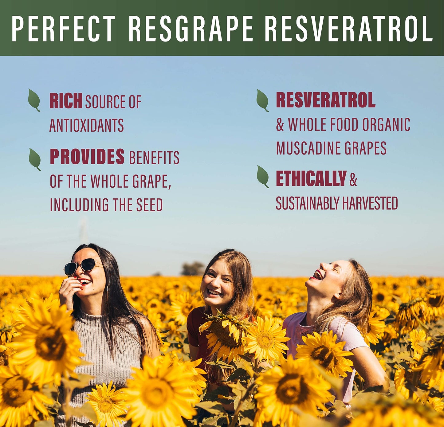 Perfect ResGrape 99% Trans-Resveratrol & Organic Muscadine Grape – Veg Capsules, 60 Capsules
