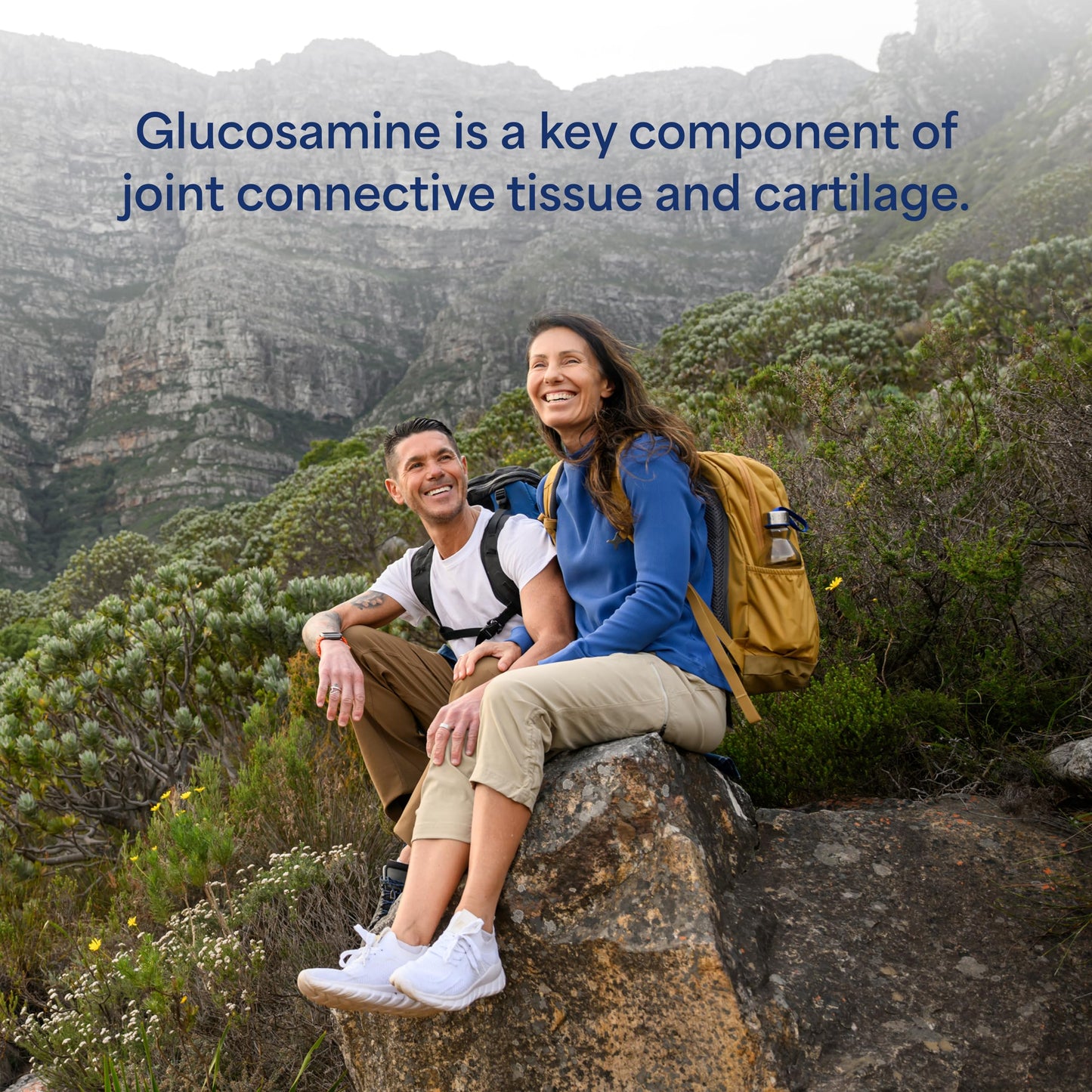 Puritan's Pride Joint Formula Glucosamine HCI Capsule 240 Count