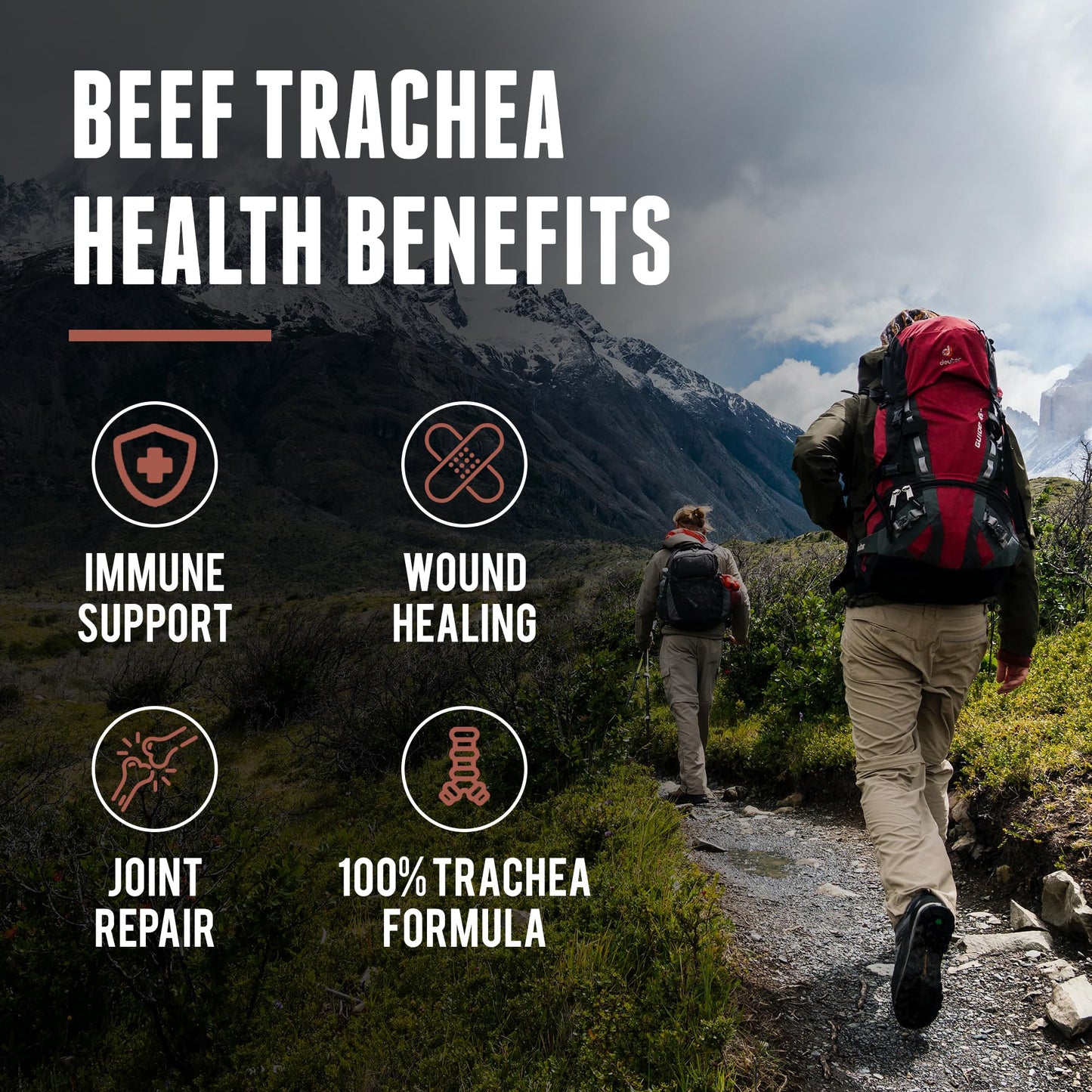 One Earth Health Grass Fed Beef Trachea Capsule, 200 Count