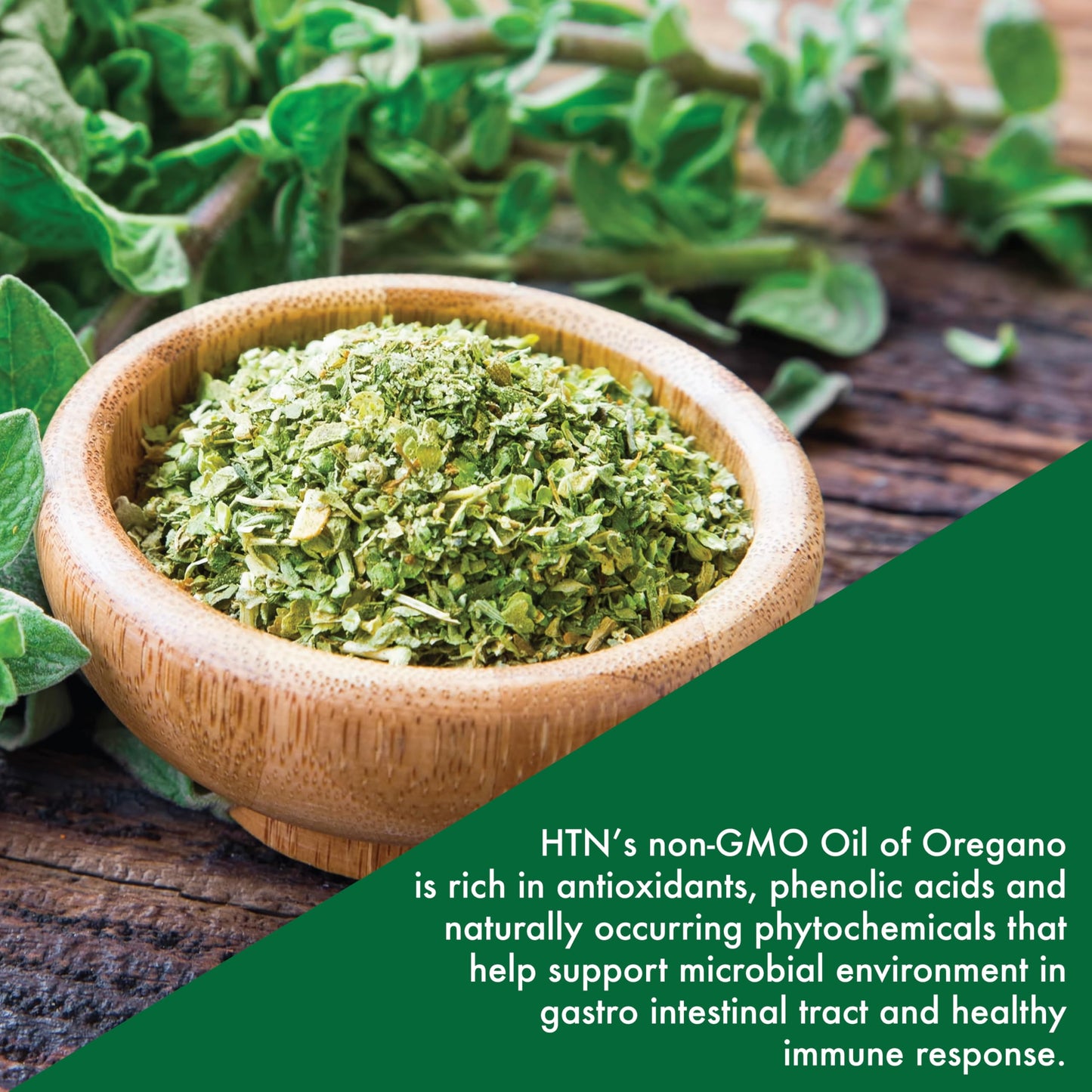Health Thru Nutrition Oil of Oregano Supplement Softgels 360 Count