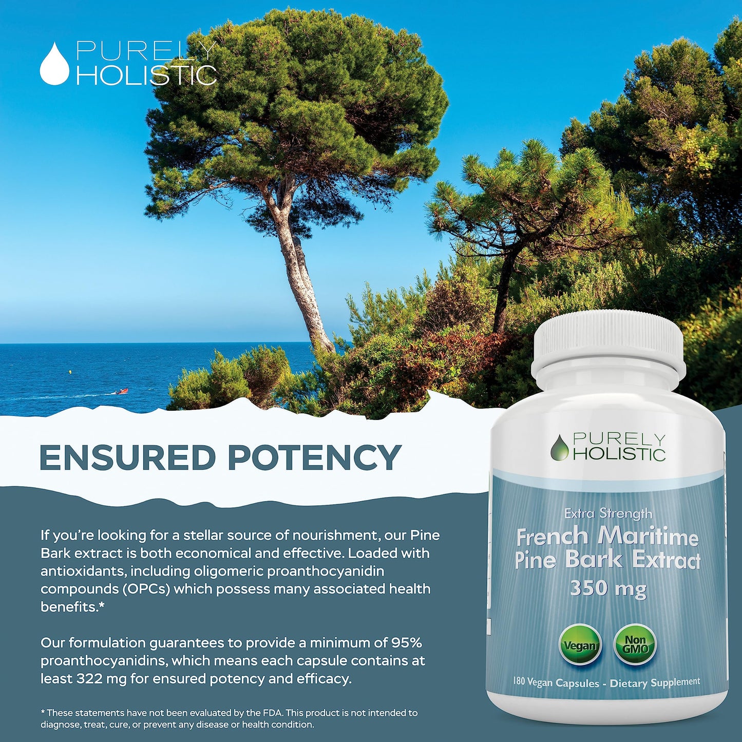 Purely Holistic French Maritime Pine Bark Extract Capsules, 180 Count