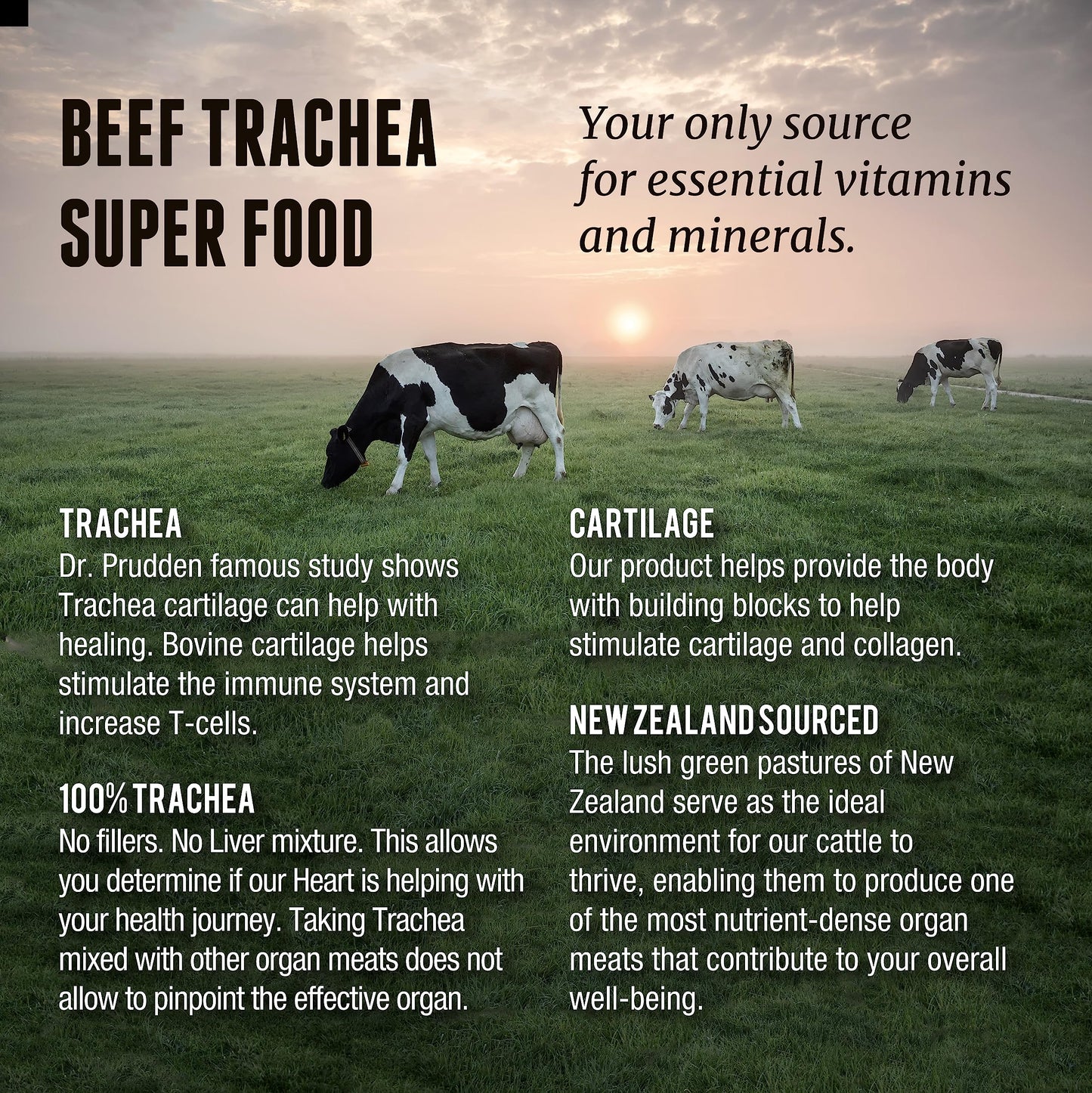 One Earth Health Grass Fed Beef Trachea Capsule, 200 Count