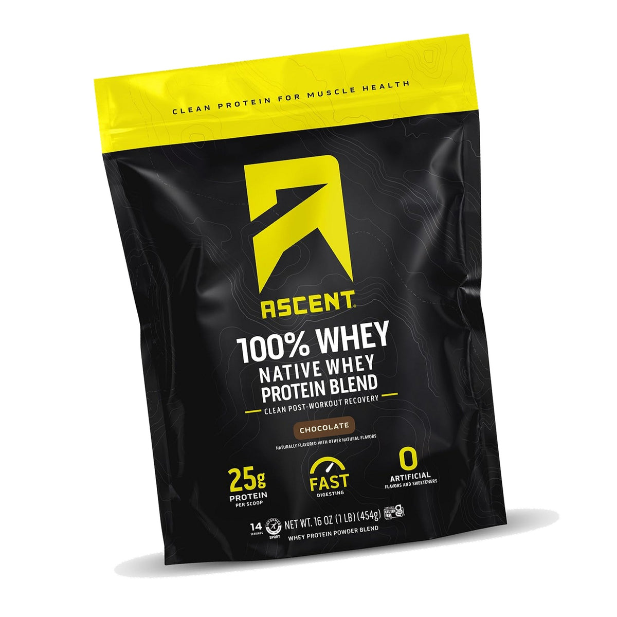 Ascent 100% Whey Protein Powder, Chocolate, 1 lb, Daily Protein