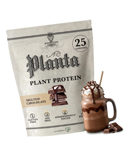 Ambrosia Plant Based Protein Powder 20g | Clean Vegan Pea Protein Powder | Gluten & Dairy Free, Keto Friendly, No Added Sugar | 25 Servings | Melted Chocolate
