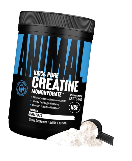 Animal Creatine Monoydrate Powder for Men & Women | Unflavored 500g