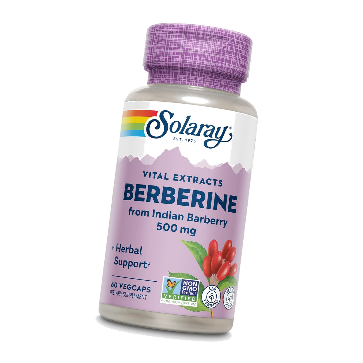 SOLARAY Berberine Extract 500 mg (60 Count (Pack of 1))